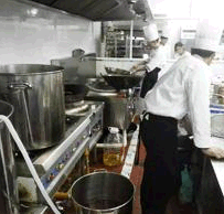 鮮艷色及亞光、花色粉末涂料